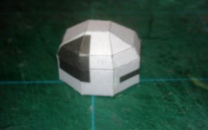 IMAG1264.jpg