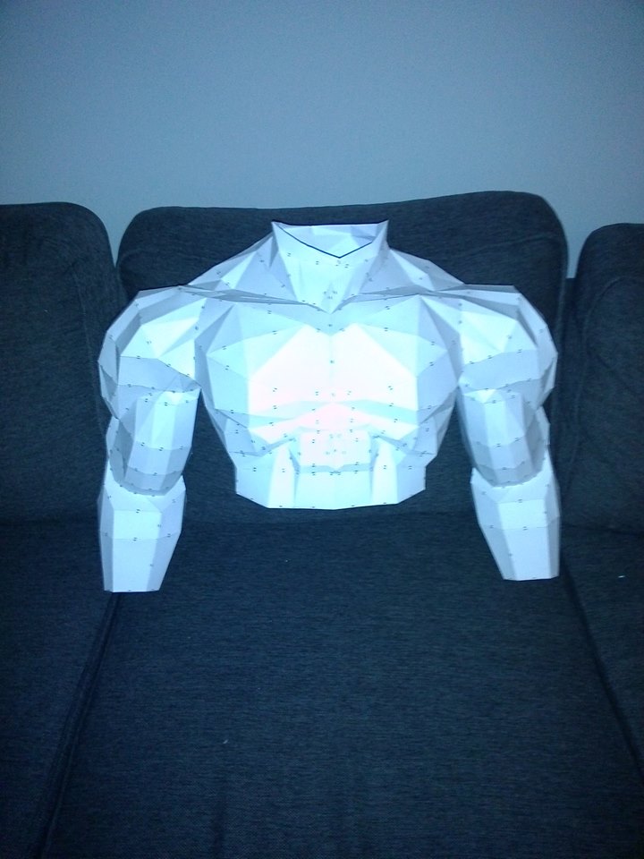 torso and arms